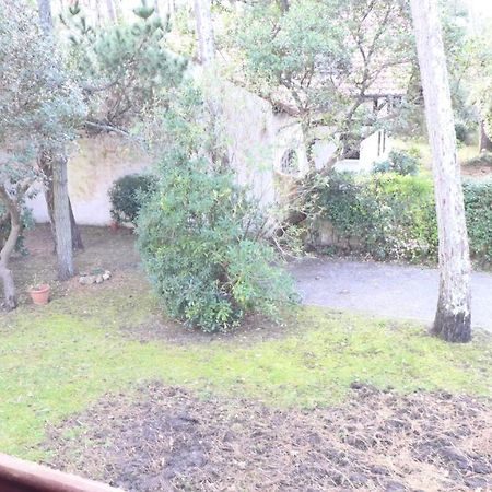 Ref 141 ,Seignosse Les Bourdaines , Villa Bouharde Classee 3 Etoiles, A 600 M Plage, 10 Personnes Εξωτερικό φωτογραφία